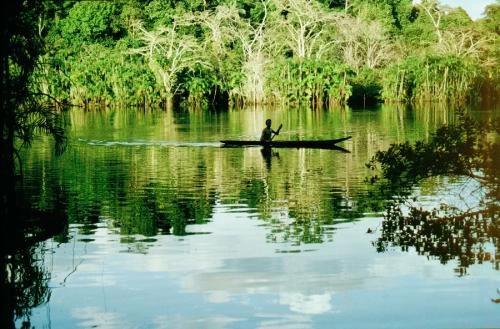 Los derechos de la naturaleza y de la Tierra