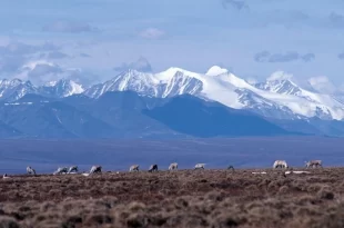 Cordillera de Brooks