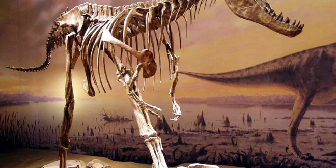 Drumheller Badlands
