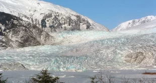 Glaciar Mendenhall