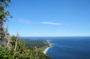 Golfo de San Lorenzo
