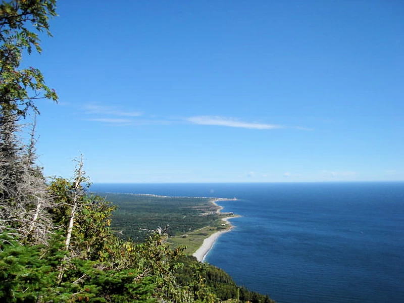 Golfo de San Lorenzo