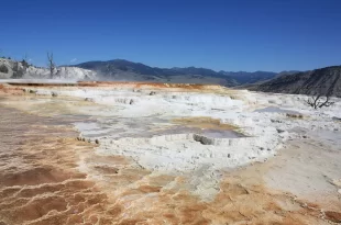Mammoth Hot Springs
