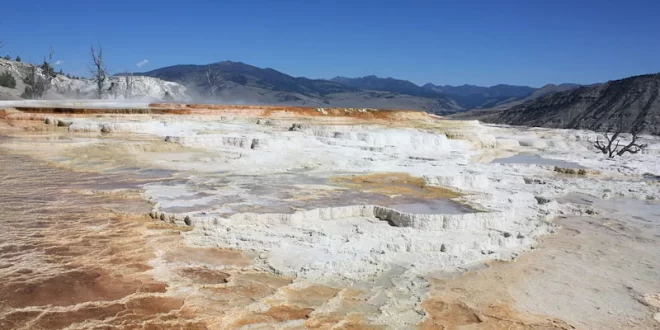 Mammoth Hot Springs