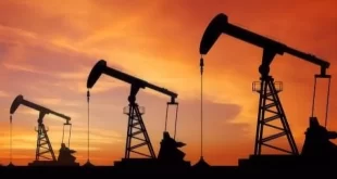 Petroleo