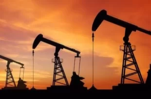 Petroleo