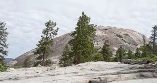 Sentinel Dome