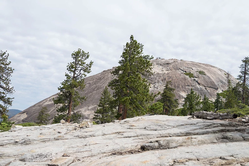 Sentinel Dome