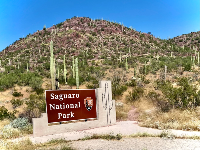 Parque Nacional Saguaro