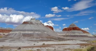 Parque Nacional del Bosque Petrificado