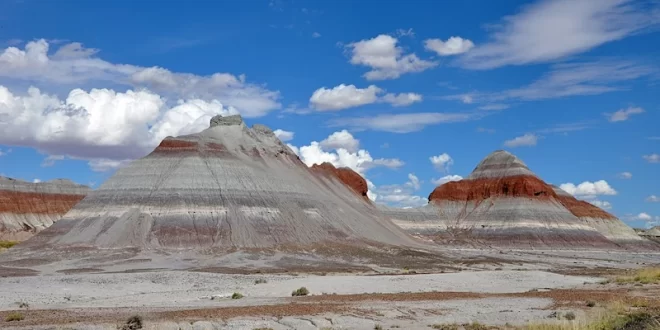 Parque Nacional del Bosque Petrificado