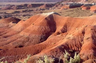 Desierto pintado