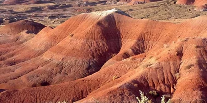Desierto pintado