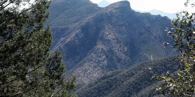Huachuca