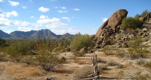 Desierto de Sonora