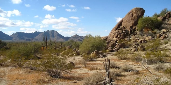 Desierto de Sonora
