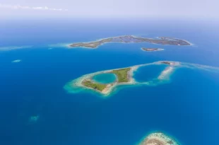 Barrera de coral