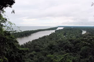 Tortuguero