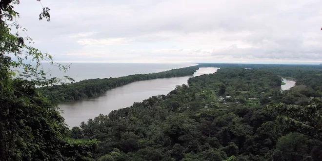 Tortuguero