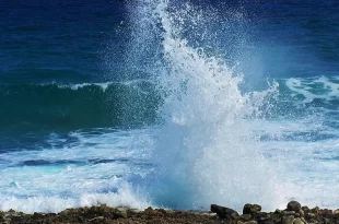 Blow Hole