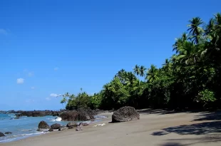 Corcovado