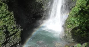 Cascadas de Dominica