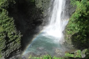Cascadas de Dominica