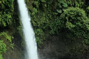 Catarata La Paz