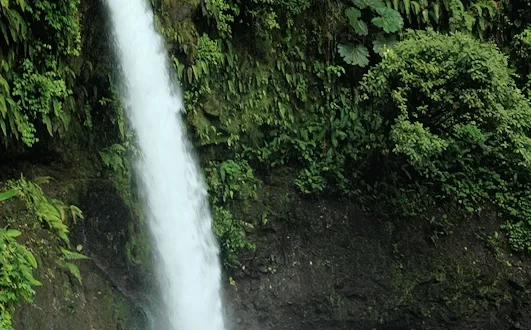 Catarata La Paz