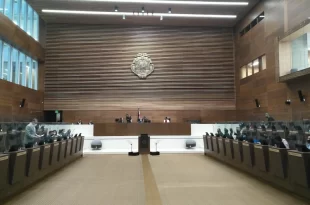 Plenario
