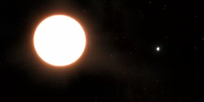 TC
