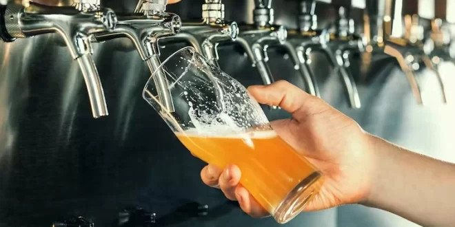 Cerveza
