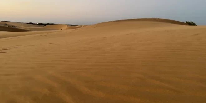 Medanos de Coro