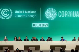 COP28