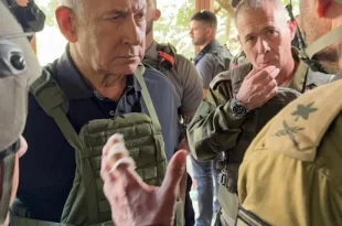 Bibi