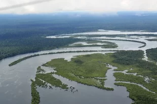 Amazonas