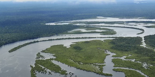 Amazonas