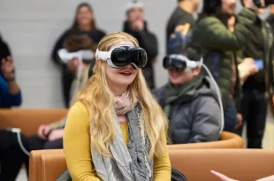 Apple vision
