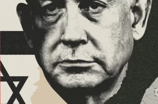 Bibi