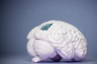 Neurolink
