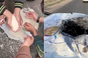 Gaza