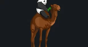 Panda y camello