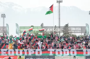 Palestino