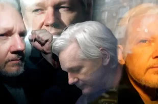 Assange