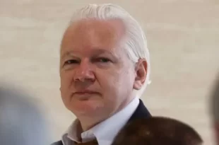 Assange