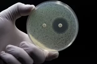 Antibióticos