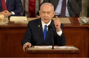 Bibi