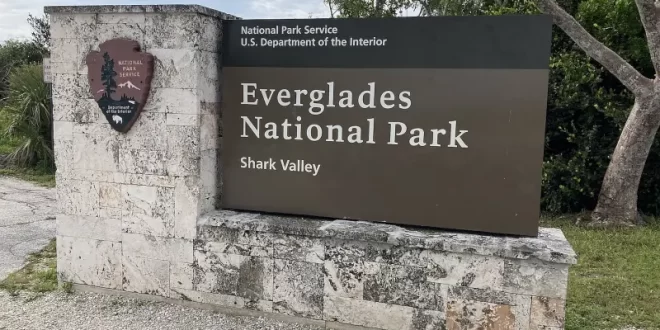 Everglades
