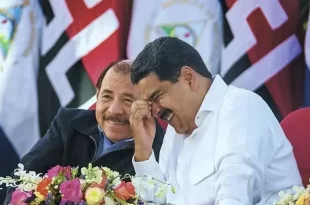 Ortega-Maduro