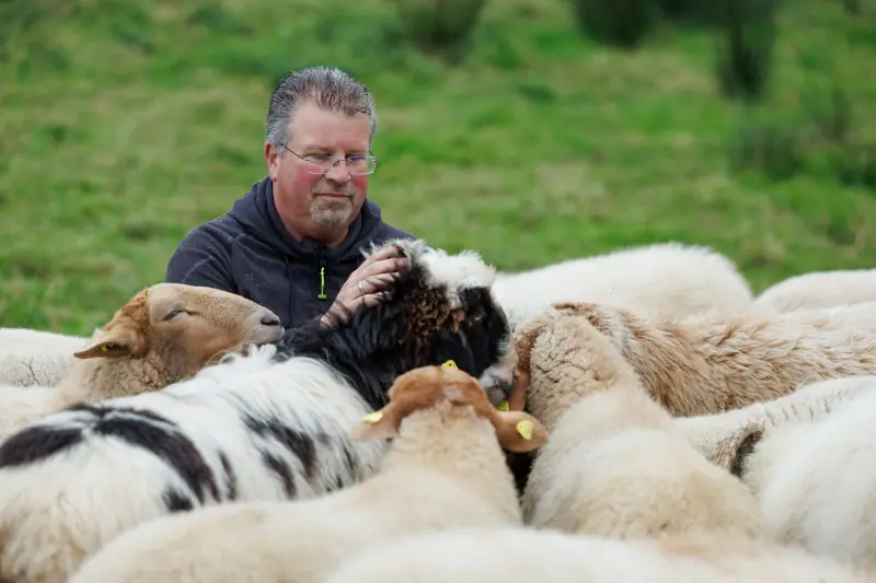 ARCHIVO - El pastor Michael Stücke es rodeado por su rebaño de ovejas. En su granja, Stücke cría ovejas gay y se ha hecho famoso en los medios de comunicación porque el cantante del grupo Tokio Hotel Bill Kaulitz patrocina a los animales y la producción de lana bajo la denominación "arcoíris". Foto: Friso Gentsch/dpa